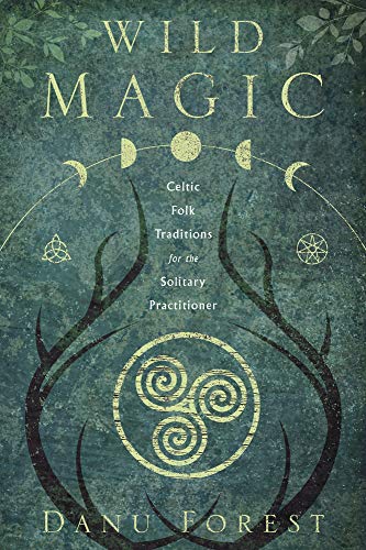 Book cover for Wild Magic featuring a triskele, antler silhouettes, and moon phases.