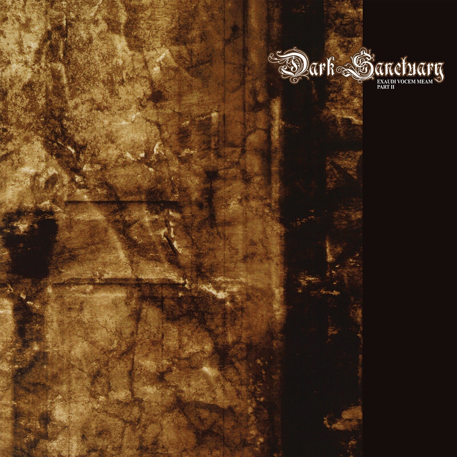Album cover with textured brown background and Dark Sanctuary text on the right side.