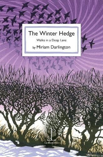 Book cover: purple and white illustration of trees and birds in flight.