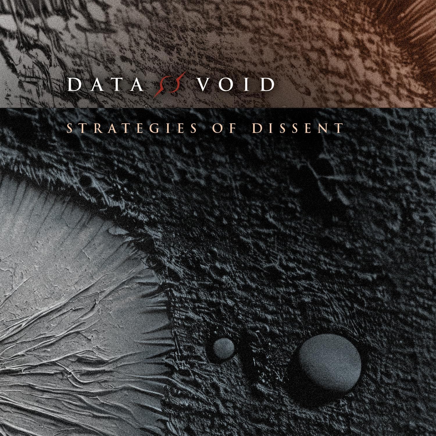 CD cover: dark, textured abstract image with "DATA VOID" text.