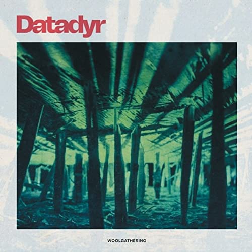 Datadyr - Woolgathering" CD cover with a blurry, abstract forest scene.