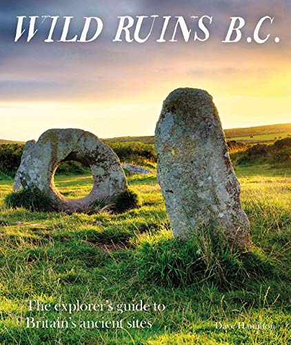 Book cover showing ancient standing stones in a grassy field at sunset.