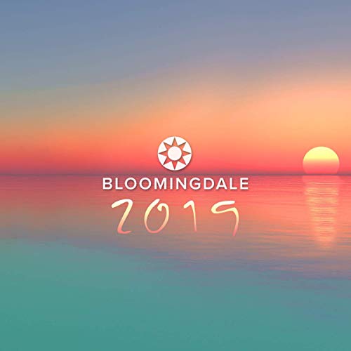 "Album cover with serene ocean sunset, 'Bloomingdale 2019' text, and stylized sun logo."
