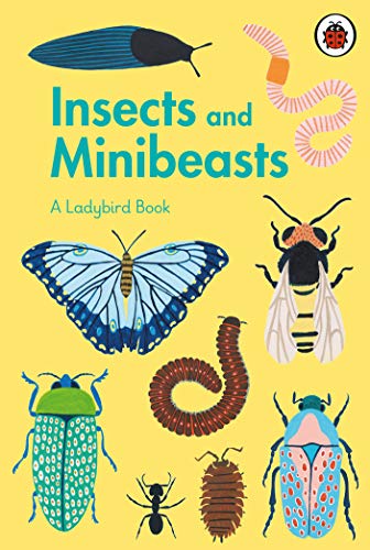 "Book cover with 'Insects and Minibeasts' title, featuring various insects on a yellow background."