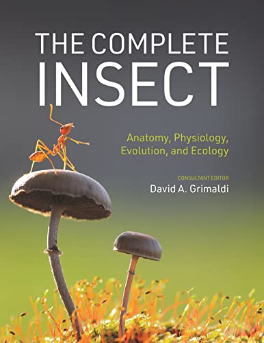 Book cover: "The Complete Insect" with an ant on a mushroom.