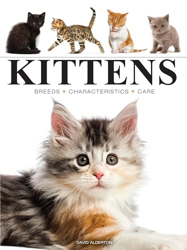 Book cover featuring multiple kittens of various breeds and colors.