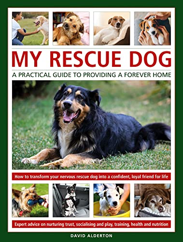Book cover featuring a relaxed, long-haired rescue dog lying in grass.