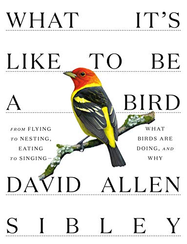 Book cover featuring a colorful warbler perched on a branch.