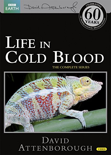 DVD cover for “Life in Cold Blood” featuring a colorful chameleon.