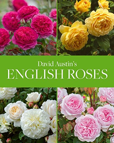 Collage of four quadrants displaying pink, yellow, white, and peach roses.