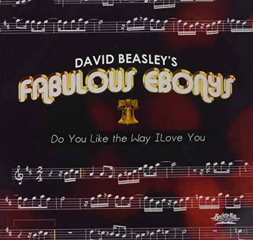 David Beasley's Fabulous Ebony - Do You Like the Way I Love You [CD]