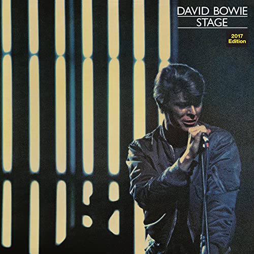 David Bowie singing into a microphone on stage with vertical light panels in background.