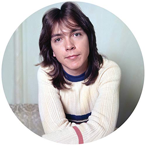 David Cassidy portrait, young man with long brown hair and a sweater.