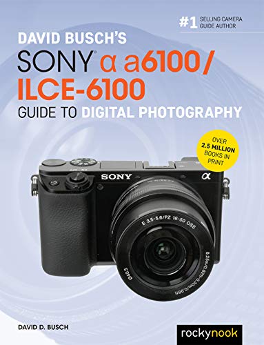 Book cover featuring a black Sony Alpha a6100 camera with lens.