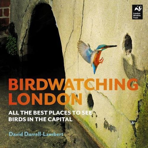 Book cover featuring a kingfisher flying near a concrete wall with text overlay.