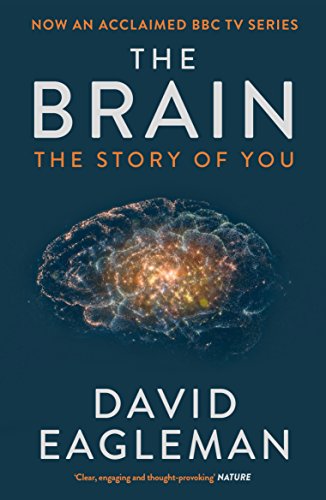 Book cover for The Brain: The Story of You by David Eagleman featuring a brain.