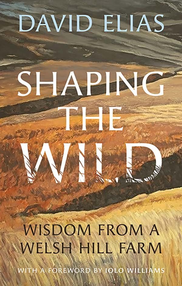 Book cover titled Shaping the Wild by David Elias featuring an abstract landscape painting.