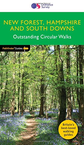 Book cover showing a forest path surrounded by bluebells with green title text above.