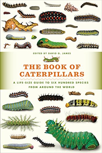 Book cover displaying numerous colorful caterpillars of various sizes and patterns.