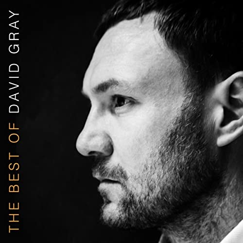Black and white portrait of David Gray, album cover for "The Best Of.