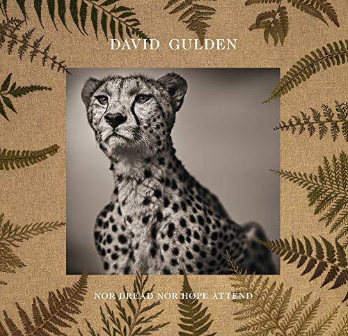 Cheetah portrait on book cover with fern-patterned background.