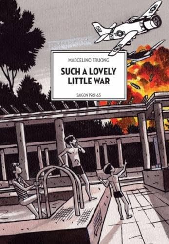 Book cover: illustrated scene of warplanes over people by a pool.