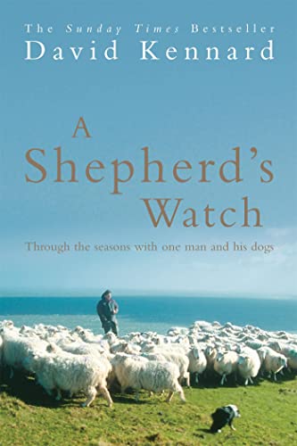 Book cover: shepherd with flock of sheep, coastal landscape.
