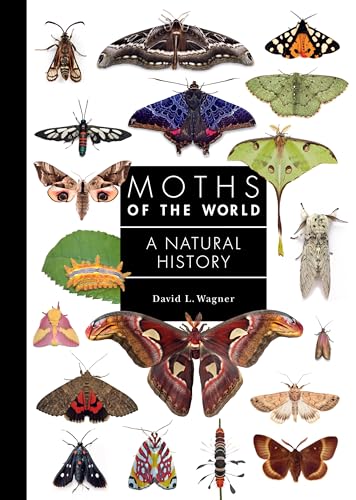 Book cover displaying diverse moth species and a caterpillar illustration.