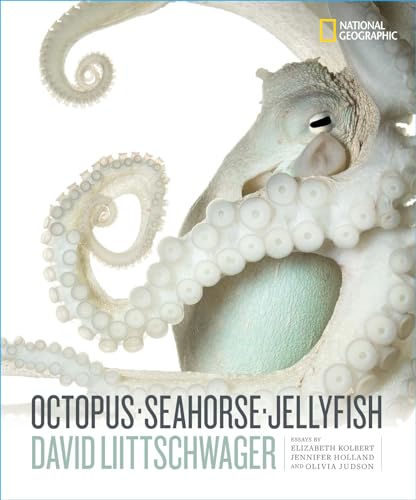 Book cover featuring a close-up of a pale octopus with curled tentacles.