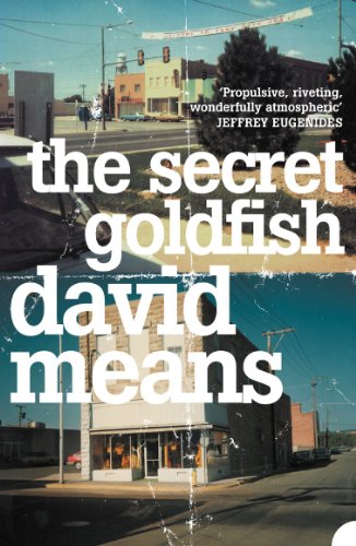 Book cover: "The Secret Goldfish" by David Means, with a townscape background.