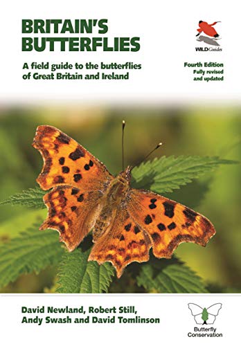 Book cover titled Britain's Butterflies featuring a comma butterfly resting on a green leaf.