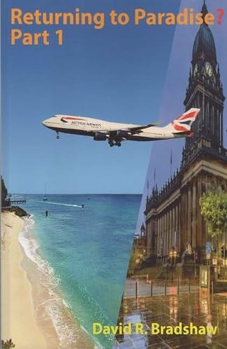 Book cover: airplane flying over beach and city architecture.