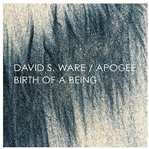 CD cover for David S. Ware & Apogee’s “Birth Of A Being,” abstract blue texture.