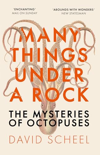 Book cover: "Many Things Under a Rock" featuring an octopus illustration.