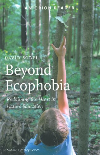 Book cover with a child reaching for a butterfly in a forest.