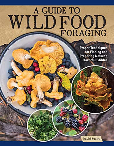 Book cover featuring foraged mushrooms, berries, and other wild edibles.