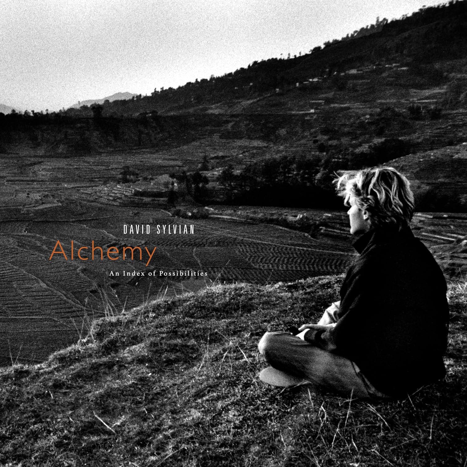 Black and white album cover featuring a man seated in a field.