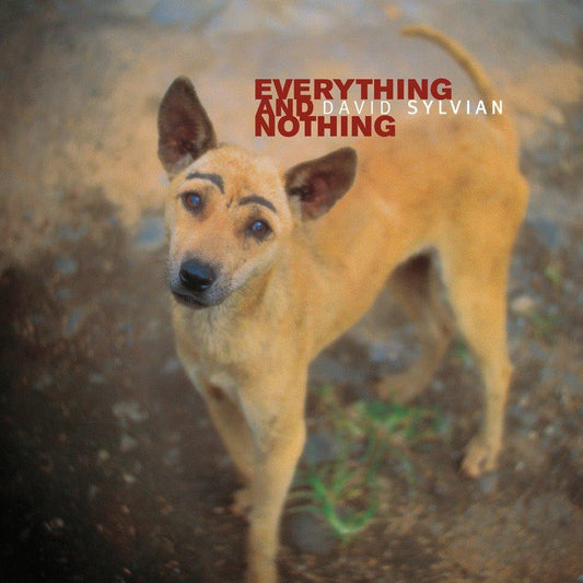 Album cover featuring a close-up of a tan dog with large ears.