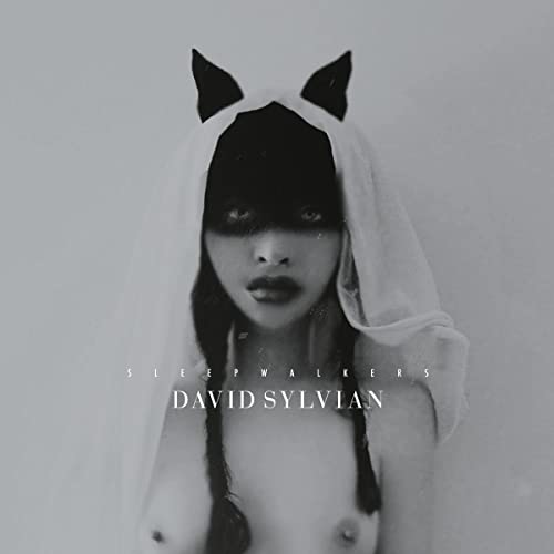 Black and white portrait of David Sylvian with a veiled cat-ear hood.