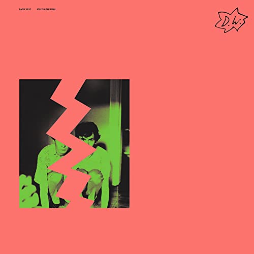 Record album cover: coral background, fractured green and black photo, white logo.