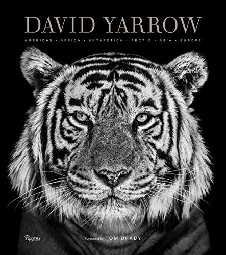 Black and white close-up portrait of a tiger’s face, book cover.