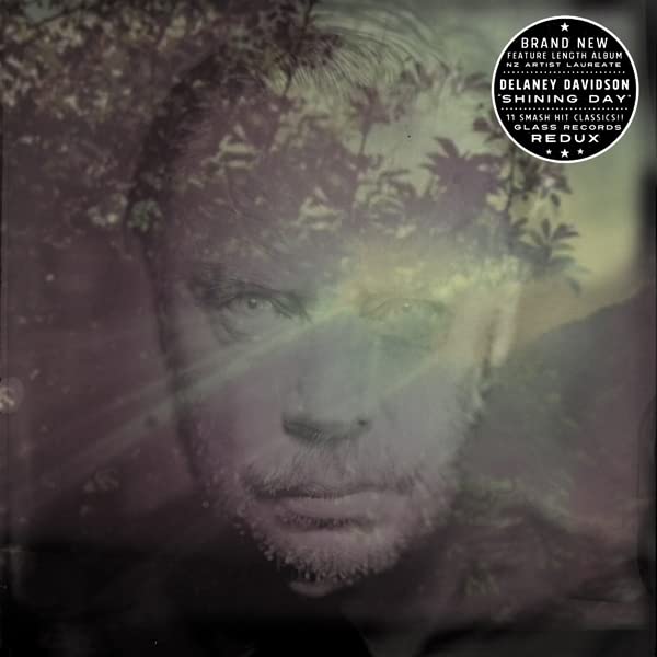 DoubleLyrical album cover featuring a man's face overlaid with foliage and light flares.
