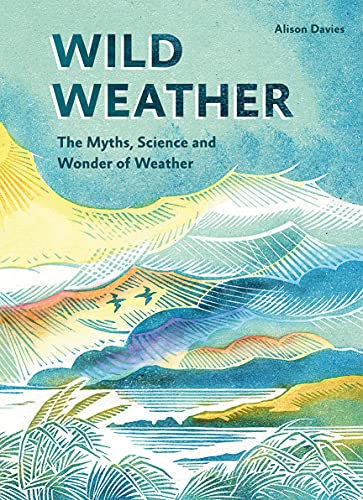 Book cover with illustrated sun, clouds, birds, and ocean waves.