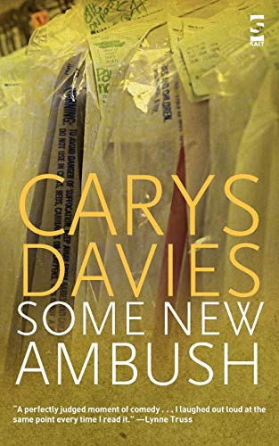Book cover: "Some New Ambush" by Carys Davies, white text on dark background.