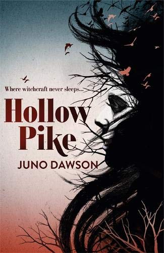 Book cover: "Hollow Pike" with a woman’s profile and flying birds.