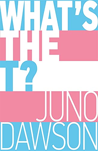 Book cover with bold text and a pink, light blue, and white striped background.