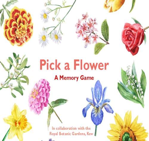 Watercolor flowers and text reading “Pick a Flower: A Memory Game”.