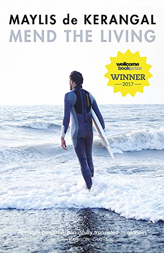 Book cover: person in wetsuit walking into ocean with surfboard.