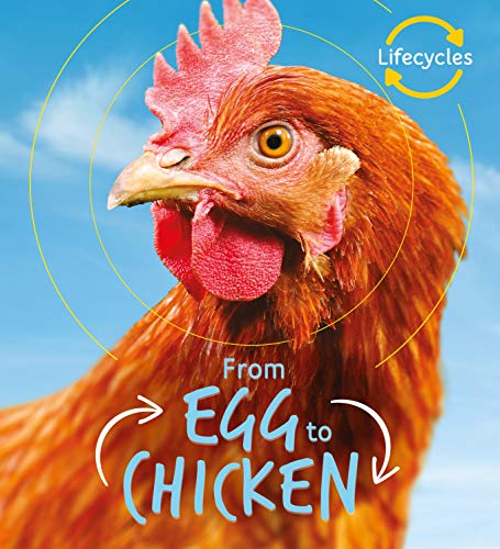 Book cover depicting a red chicken with text “Egg to Chicken.”