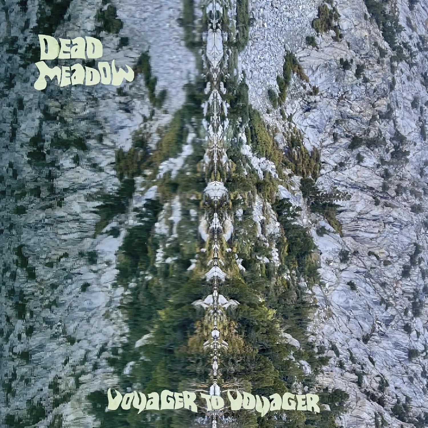 Vinyl record cover for Dead Meadow’s “Voyager To Voyager” with forest imagery.